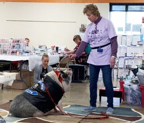 CDL Scrapbookers donate to pet organization